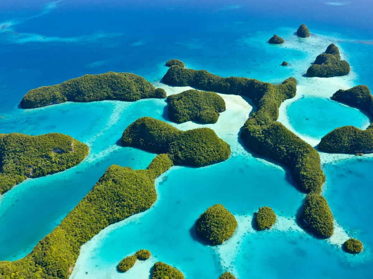 Criminal Database - Republic of Palau